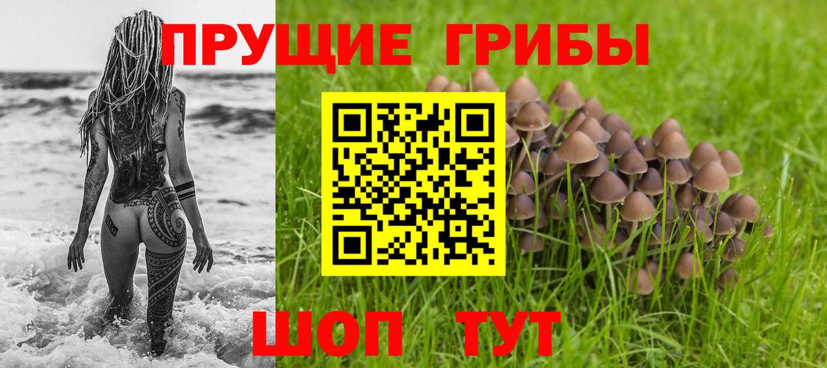 Галлюциногенные грибы прущие грибы  Вход с VPN  как найти закладки  Екатеринбург 