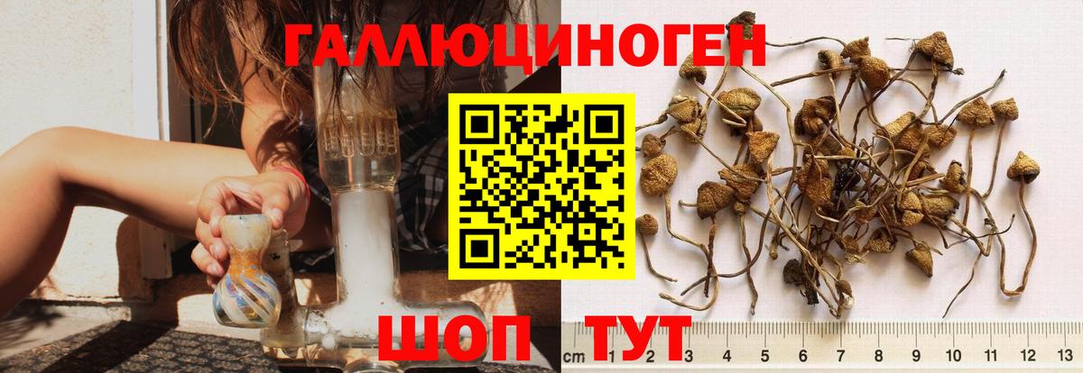 Псилоцибиновые грибы мухоморы Екатеринбург